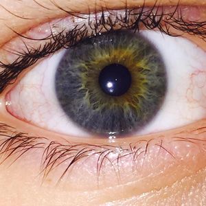 Meet your Posher, Richard